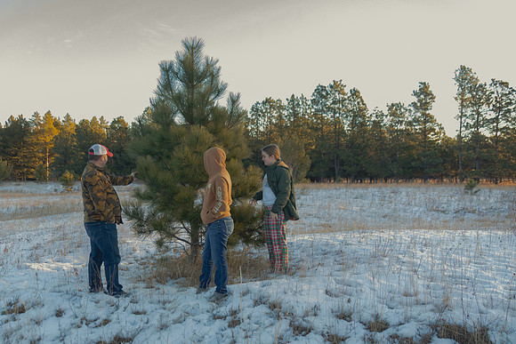 2024 Christmas Tree Hunt