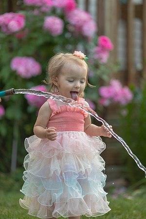 Tatey Bear  meets the Water Hose