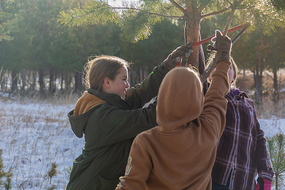 2024 Christmas Tree Hunt