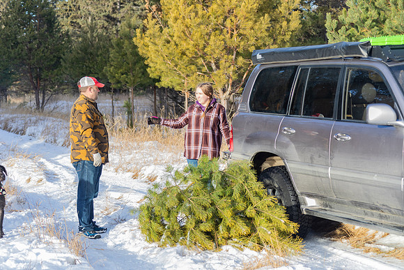 2024 Christmas Tree Hunt